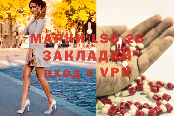 соль ск Елизово