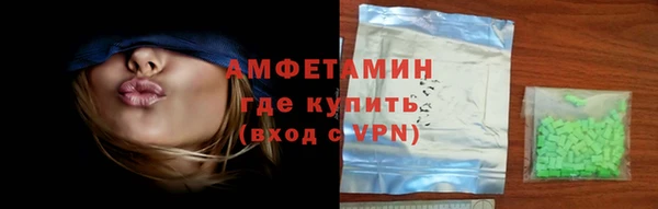 спиды Ельня
