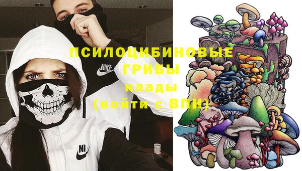 бошки Зеленокумск