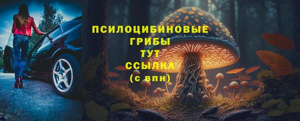 jwh Зерноград