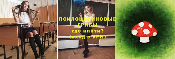 бошки Зеленокумск