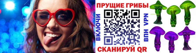 Галлюциногенные грибы MAGIC MUSHROOMS  купить закладку  Салават 