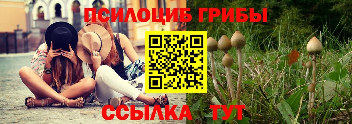 Салават  Галлюциногенные грибы Magic Shrooms  Вход с VPN 